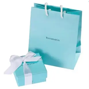 Tiffany 1837 雙戒環結墜飾925純銀項鍊