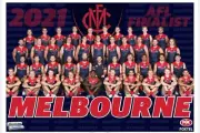 Melbourne demons TEAM Photo,AFL football,swans,PIEs ,blues ,crows,books,dockers2