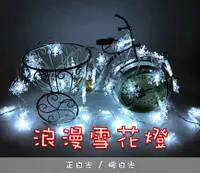 在飛比找松果購物優惠-LED雪花燈6米 白光 暖白光 常亮USB款 串燈 圓球燈 