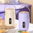 900ml Multi-functional Mini Electric Rice Cooker Boiling Soup Travel 1-2Person
