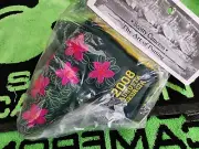 Rare Scotty Cameron 2008 Augusta Georgia MASTERS Azalea Putter Headcover⛳⛳NIB