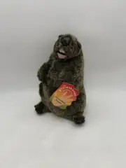 Folkmanis Groundhog Puppet Plush Animal Realistic Learning Toy Stuffed Tags 14”