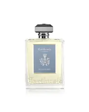 Carthusia Domus Mediterraneo Citrus Room Diffuser 230ml