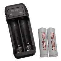 在飛比找特力屋線上購物優惠-[特價]【PRO-WATT】ZN224E-10電池充電組(附