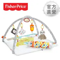 在飛比找誠品線上優惠-【Fisher price 費雪】感官訓練可愛動物健身器