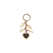 Penrith Panthers Premiers NRL Charm Keyring (Due early November)