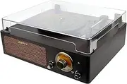 [LoopTone] DS-215RBB Bluetooth in & Out Turntable with FM Radio functions