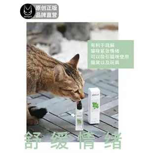 逗貓神器 JoyCat 蟲癭果噴劑 喵喵快樂水 貓薄荷 貓草興奮 貓抓板 喝水去毛球 貓咪健康 蟲嬰果 蟲癭果萃取液