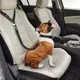 寵物汽車安全帶 固定毛孩 行車安全升級 固定愛犬活動空間 寵物車用安全扣 寵物安全繩 貓狗可用 (5.9折)