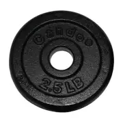 Fabrication Enterprises 10-0601 Iron Disc Weight Plate- 2.5 Lbs.