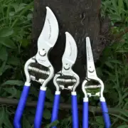 Horticultural Pruning Scissors,Professional Garden Scissors,Manual Pruning Tools