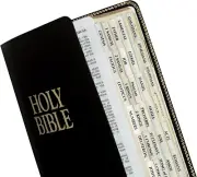Gold-Edged Bible Indexing Tabs, Old & New Testament, 80 Tabs Including 64 Books