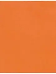LUXPaper 11" x 17" Paper | Tabloid Size | Mandarin Orange | 80lb. Text | 50 Qty