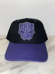 Marvel Black Panther Hat Snapback Cap Adult Comics Offical Wakanda Purple