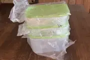 NEW Tupperware Freezer Mates Containers Set of 3 Rectangles 1 & 2.75 Cups Green