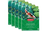 5 Pack Derwent Academy Acrylic Drawing Pad Portrait 12 Sheets A4 Artists
