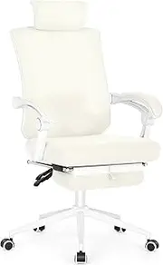 [Misolant] Ergonomic Office Chair with Footrest, Ergonomic Desk Chair with Adjustable 2D Lumbar Support, High Back Computer Chairs with Adjustable Headrest, Beige Comfortable Executive Office Chair