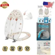 Modern 19" Elongated Toilet Seat with Clear Seashell Design - Soft Close Feature