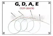 Paititi String Steel Core German Made Premium Quality String Set 4/4 Size Violin