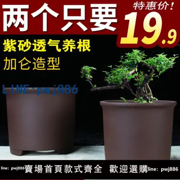 宜興紫砂花盆蘭花盆景盆栽室內多肉植物特大號精品花盆栽盆陶瓷大| 華成