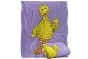 Sesame Street Painted Big Bird Blanket (Multicoloured) (One Size)