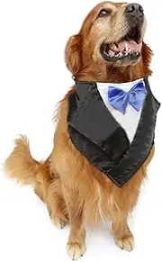 NACOCO Wedding Tuxedo Large Dog Bandana Scarf Adjustable Cat Collar Neckerchief Pet Dress-up Clothes Dog Costumes for Wedding Party or Halloween (Blue)