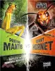 Praying Mantis vs Giant Hornet：Battle of the Powerful Predators