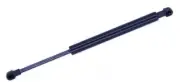 Liftgate Lift Support-4 Door, Hatchback Tuff Support 612841 fits 2004 Fiat Palio (for: Fiat)