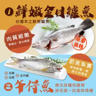 【戀戀蚵仔寮】產地直送安心魚組(午仔魚三去、鮮嫩金目鱸魚、石斑清肉、薄鹽鯖魚片)(冷凍)