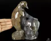 6.9" Dinosaur Egg Agate Carved Crystal Skull & Penguin, Crystal Healing