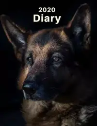 在飛比找博客來優惠-2020 Diary: Dog Lovers Diary: 