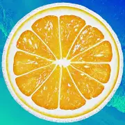 Round Orange Beach Towel Tassel/Fringe Multi-Purpose: Yoga Mat or Baby Crawl Pad