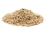 White Peppercorns, Whole - 1 Pound (16oz) Whole White Pepper Spice