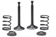 Intake Exhaust Valve Spring Set For WEN 56475 4750 Watt Generator