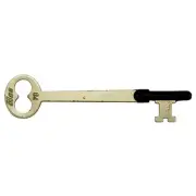 #7B Skeleton Keys (10 pcs.)