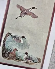 Vintage Crewel Embroidery Kit Pintail Ducks Blanche Virgien