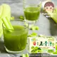 【海莉家】京工 蔬果五青汁 超好喝必買♥ 五種綠色蔬果 蔬菜汁 蔬果汁 青椒 西洋芹 苦瓜