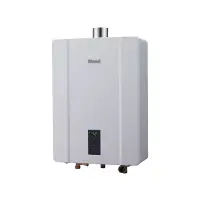 在飛比找蝦皮商城優惠-林內RUA-C1600WF_LPG 屋內強制排氣型熱水器(1