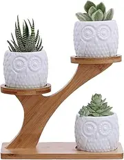 3pcs Owl Succulent Pots with 3 Tier Bamboo Saucers Stand Holder - White Modern Decorative Ceramic Flower Planter Plant Pot with Drainage - Home Office Desk Garden Mini Cactus Pot Indoor Decoration