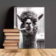 Alpaca Brushing Teeth Canvas Print, Black-And-White Animal Wall Art Framed