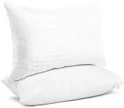 2 Pack Queen Size Bed Pillows for Sleeping,Super Soft down Alternative Microfibe