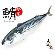 大尾！南海豐【整尾挪威鯖魚】肉質肥美，油脂豐富，海上先生嚴選鯖魚最佳品種，美食團購