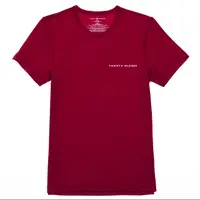 在飛比找PChome24h購物優惠-Tommy Hilfiger 字母大LOGO素色T恤 (紅色