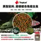 【閃電聯盟】德比克 Tropical 異型鼠科、底棲綜合免疫主食 雙色飼料 異型 底棲魚 鼠魚 蝦 蟹 飼料