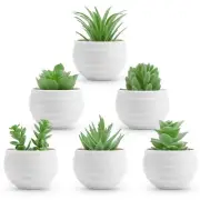 Der Rose 6 Pack Fake Plants Small Realistic Succulents Plants Artificial for ...