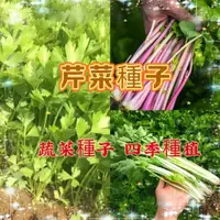 在飛比找蝦皮購物優惠-【買二送一】芹菜種子 四款小香芹種子 四季蔬菜種植庭院陽台芹