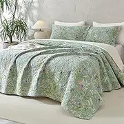 Lady Ann Green Floral 100% Cotton Quilt Sets Queen - Green Flower Bird Butterfly Print Botanical Bedding,Vintage Lightweight Coverlet Ultra Soft Bedspread Set with Pillow Shams for All Season, 3 PCS