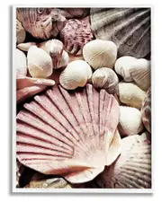 Stacked Coastal Seashells Framed Giclee Wall Art by Ashley Aldridge 11 x 14 NoColor