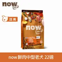 在飛比找ETMall東森購物網優惠-Now! 鮮肉無穀天然糧 中型老犬配方 22磅