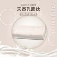 在飛比找PChome24h購物優惠-【HABABY】天然乳膠枕 馬來西亞進口乳膠(抗菌 防螨 透